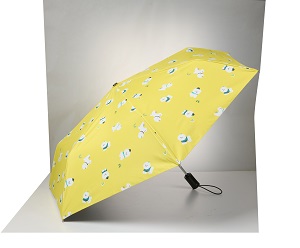 【盛夏點數嘉年華】RAINSTORY 防曬凍齡傘