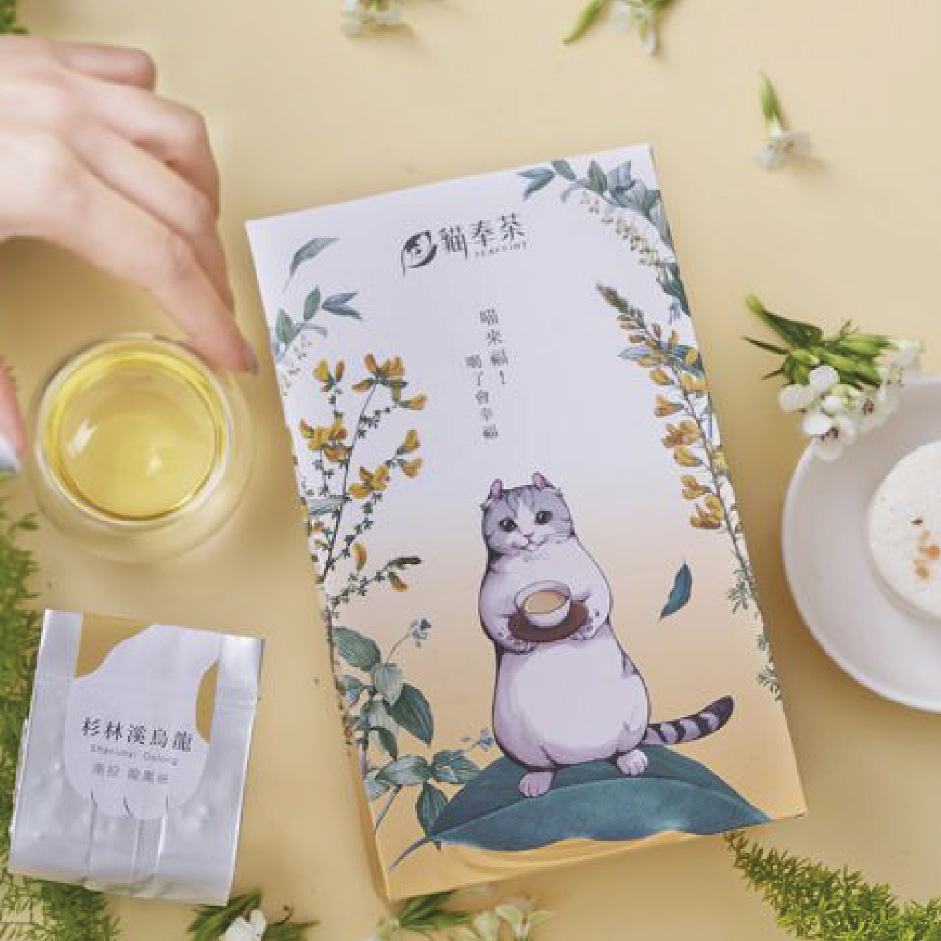 【夏日點數嘉年華】貓奉茶杉林溪高山烏龍茶 (午茶懶貓 50 克*1)